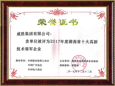 湖南省十大高新技術領軍企業(yè)
