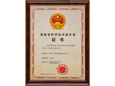湖南省科學技術進步獎（智能計量系統(tǒng)關鍵技術及應用三等獎）