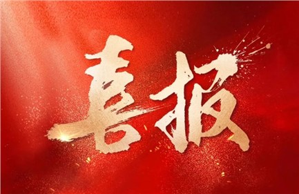 喜報|威勝集團中標國家電網項目，總中標金額超1.15億元，行業排名第一！