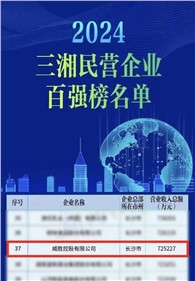 喜訊｜威勝控股上榜2024三湘民營企業百強榜單，排名第37位